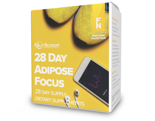 28 Day Adipose Focus Kit - NuMedica